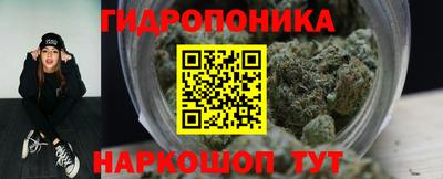 эйфоретик Гатчина