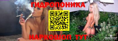 эйфоретик Гатчина