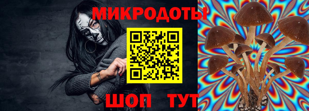 Псилоцибиновые грибы прущие грибы  Вход с VPN  Озёрск  Галлюциногенные грибы прущие грибы 